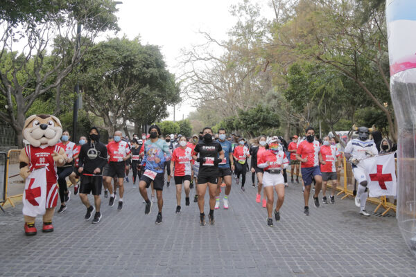 Imagen 2