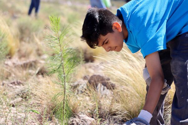 230907_coa_reforestacion_065