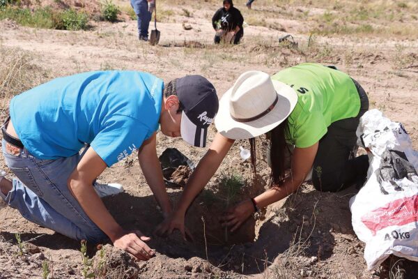 230907_coa_reforestacion_071