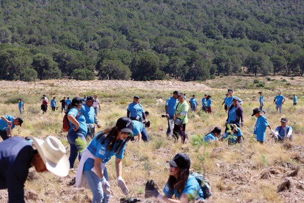 230907_coa_reforestacion_082