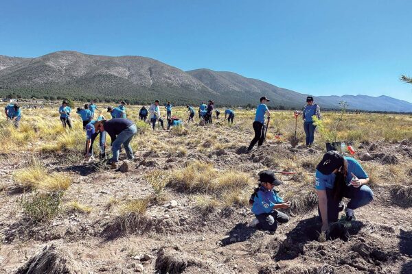 230907_coa_reforestacion_085