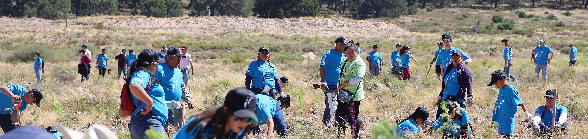 Siembran voluntarios 540 árboles en la Sierra de Arteaga